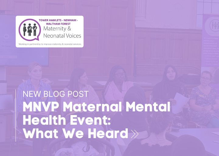 MNVP Maternal Mental Health Event-2